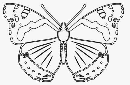 Transparent Butterfly Outline Clipart, HD Png Download, Free Download