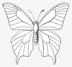Transparent Bugs Clipart Black And White, HD Png Download, Free Download
