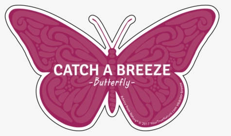 Butterfly Outline Png, Transparent Png, Free Download
