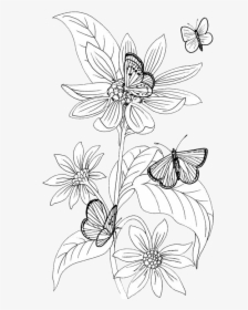 Butterfly Outline Png, Transparent Png, Free Download