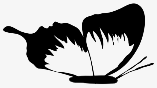 Black And White Butterfly Images, HD Png Download, Free Download
