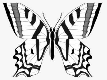 Monarch Butterfly Clipart Outline, HD Png Download, Free Download