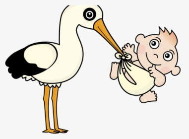 Stork Clipart Baby Vector, HD Png Download, Free Download