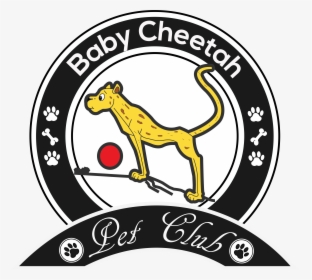 Cheeto Png, Transparent Png, Free Download
