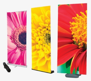 Floral Banner Png, Transparent Png, Free Download