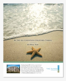 Ad Sheahomes Dunescreature 01, HD Png Download, Free Download