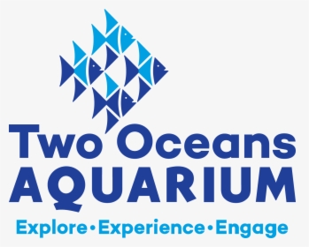 Two Oceans Aquarium Logo, HD Png Download, Free Download