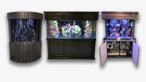 Pool Transparent Aquarium, HD Png Download, Free Download