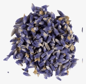 Ultra Blue Premium Lavender Flower Buds 3, HD Png Download, Free Download