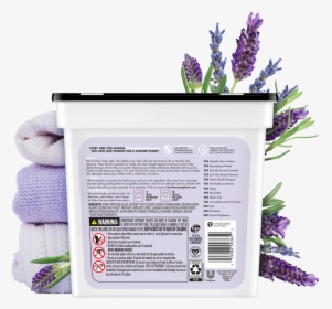 Lavender Plant Png, Transparent Png, Free Download