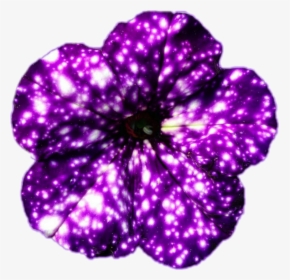 Galaxy Flowers, HD Png Download, Free Download