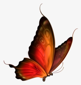 Бабочка, Насекомое, Butterfly, Insect, Schmetterling,, HD Png Download, Free Download