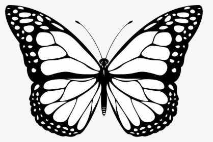 Borboleta Png, Transparent Png, Free Download