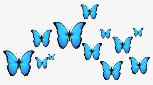 #crown #butterfly #borboleta #emoji #dudahmt #tumblr, HD Png Download, Free Download