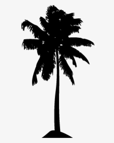 Palm Tree Set Png, Transparent Png, Free Download