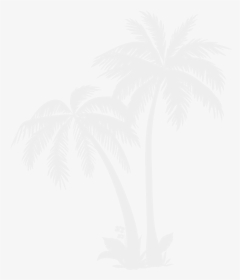 White Palm Tree Png, Transparent Png, Free Download