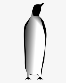 Emperor Penguin Png, Transparent Png, Free Download