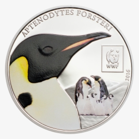 Emperor Penguin Png, Transparent Png, Free Download
