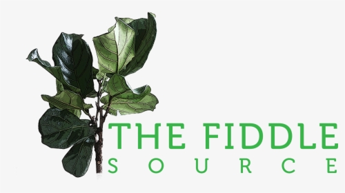 The Fiddle Source, HD Png Download, Free Download
