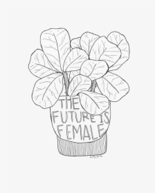 The Future Is Female Cute Fig Leaf Illustration By, HD Png Download, Free Download