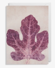 Fig Leaf Png, Transparent Png, Free Download