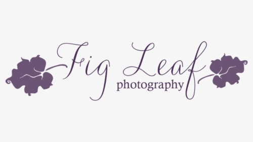 Fig Leaf Png, Transparent Png, Free Download