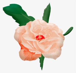 Watercolor Rose, Roses, Pink, Stem, Buds, Nature, HD Png Download, Free Download