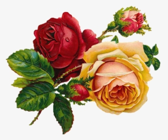 Rosas, Vintage, Ramo De Rosas, Flores, Edad, Retro, HD Png Download, Free Download