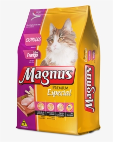 Gatos Png, Transparent Png, Free Download