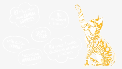 Gatos Png, Transparent Png, Free Download