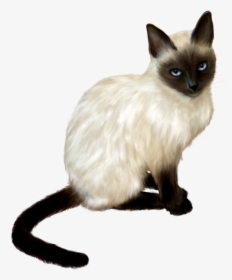 Transparent Gatos Png, Png Download, Free Download