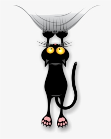 Gatos Png, Transparent Png, Free Download