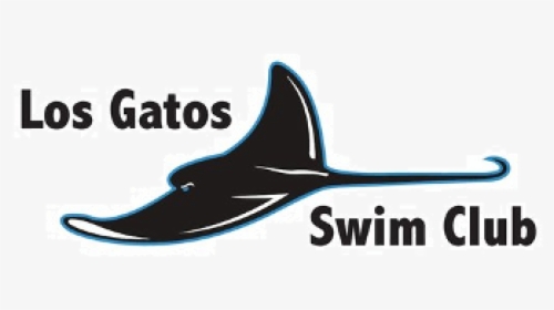 Gatos Png, Transparent Png, Free Download