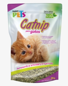 Gatos Png, Transparent Png, Free Download