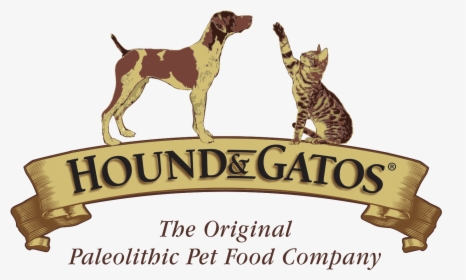 Gatos Png, Transparent Png, Free Download