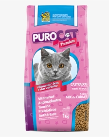 Gatos Png, Transparent Png, Free Download