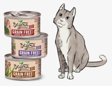 Gatos Png, Transparent Png, Free Download