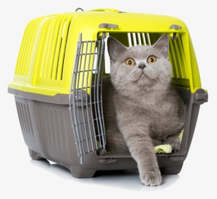 Transportín Gatos Vetplan Facebook, HD Png Download, Free Download