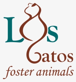 Gatos Png, Transparent Png, Free Download