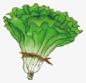 Lettuce Cartoon Png, Transparent Png, Free Download