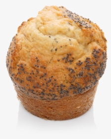 Muffin Png, Transparent Png, Free Download