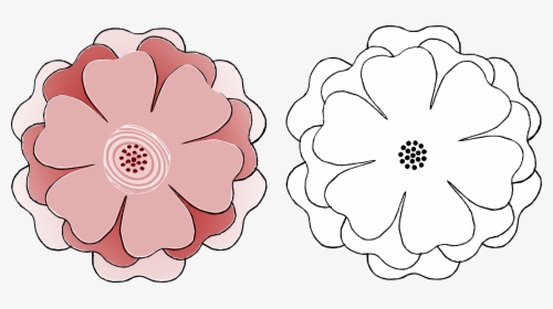 Flower Multi-choice 6 Petal S3 Template Clip Arts, HD Png Download, Free Download