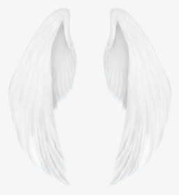 #freetoedit #angel #alas #stickers, HD Png Download, Free Download