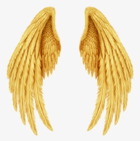 #wings #alas #gold #golden #doradas #oro #angel #guardian, HD Png Download, Free Download