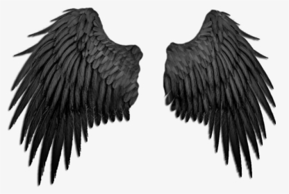 #alas #angel #nebulosa #negro #blackandwhite #ave #bird, HD Png Download, Free Download