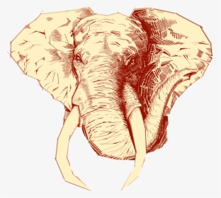 Logo Tecate Arcadia Elefante , Png Download, Transparent Png, Free Download