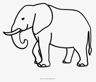 Elephant Coloring Page, HD Png Download, Free Download