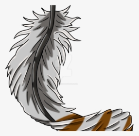 Feather Clipart Png, Transparent Png, Free Download