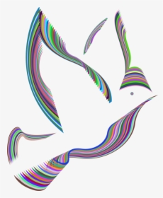 Graphic Design,line,feather, HD Png Download, Free Download