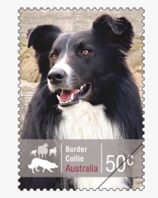 Stamp Border Png, Transparent Png, Free Download